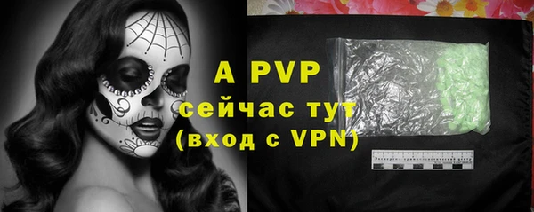стаф Елабуга
