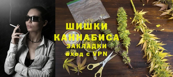 стаф Елабуга
