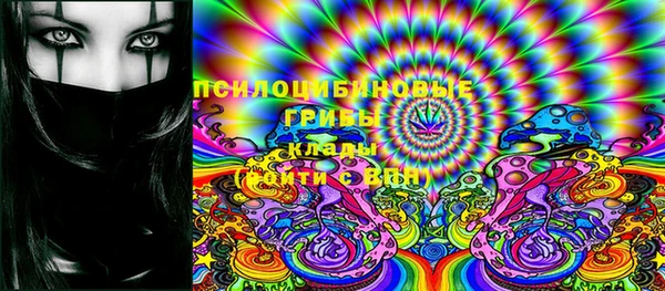 ешки Елизово