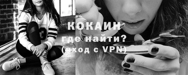 ешки Елизово